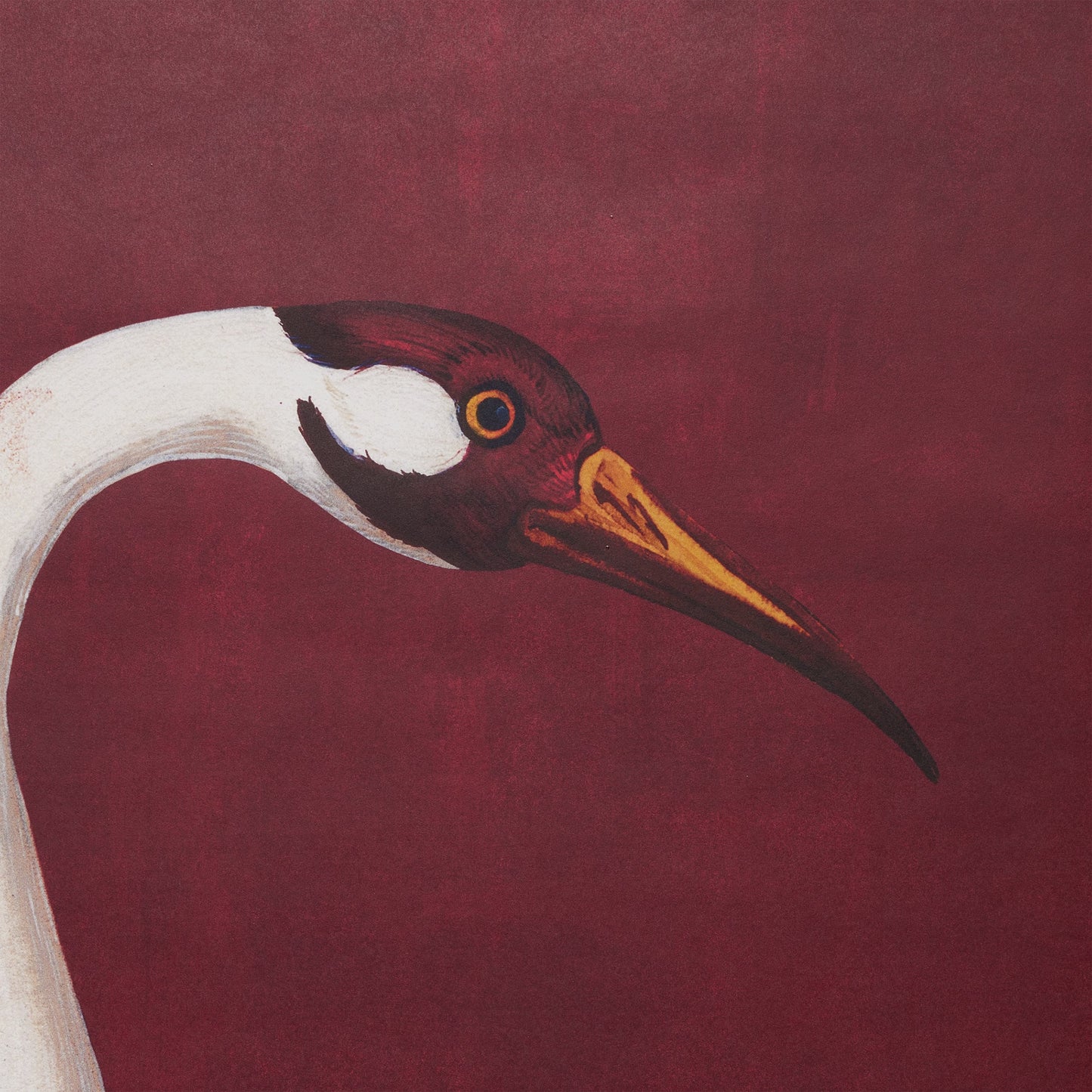 GUCCI Heron Rosso